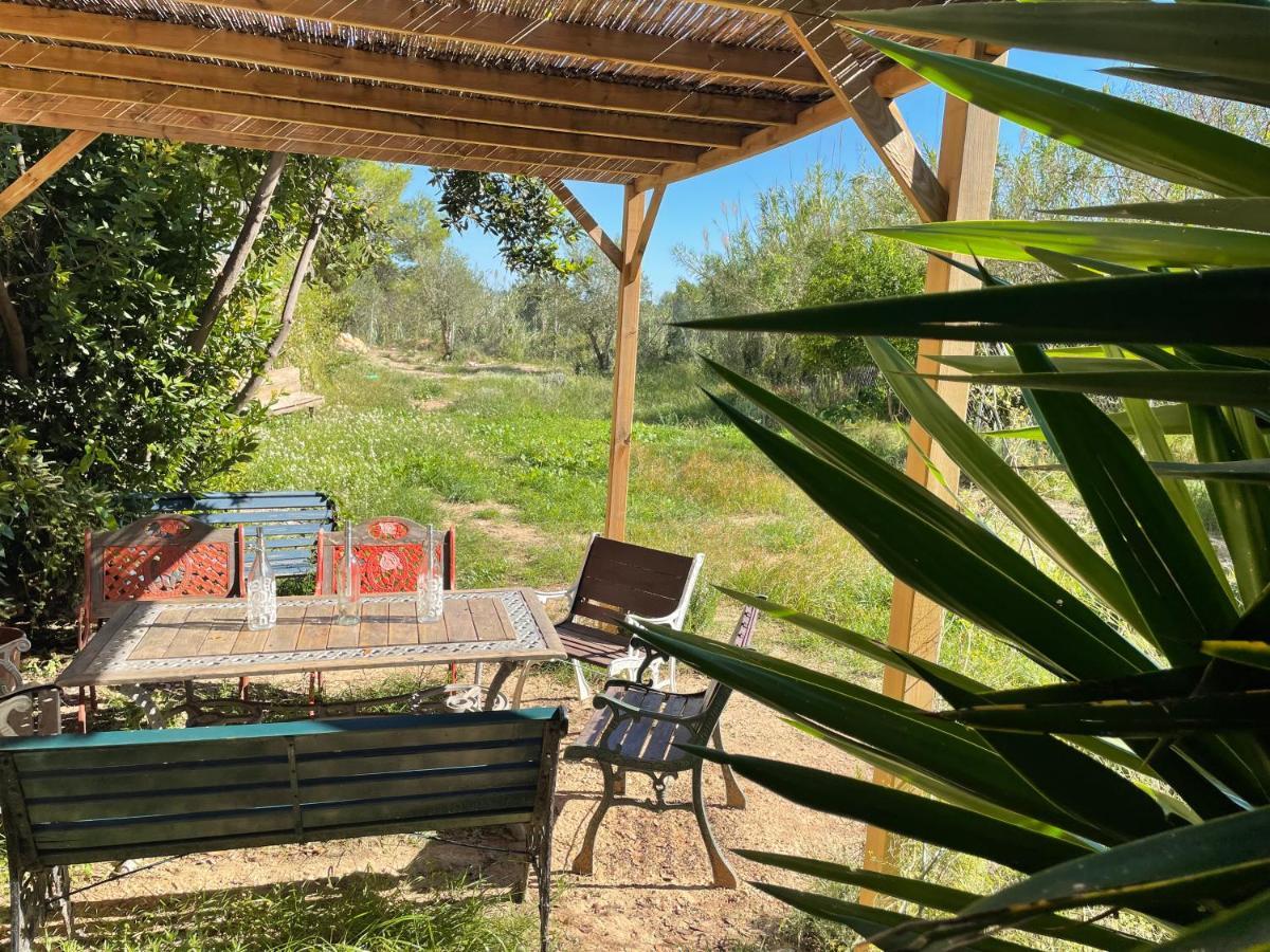 Casa Rural Con Jardin,A 8Km Playa Y En La Naturaleza Taronja&Canyella Ardenya Exterior photo